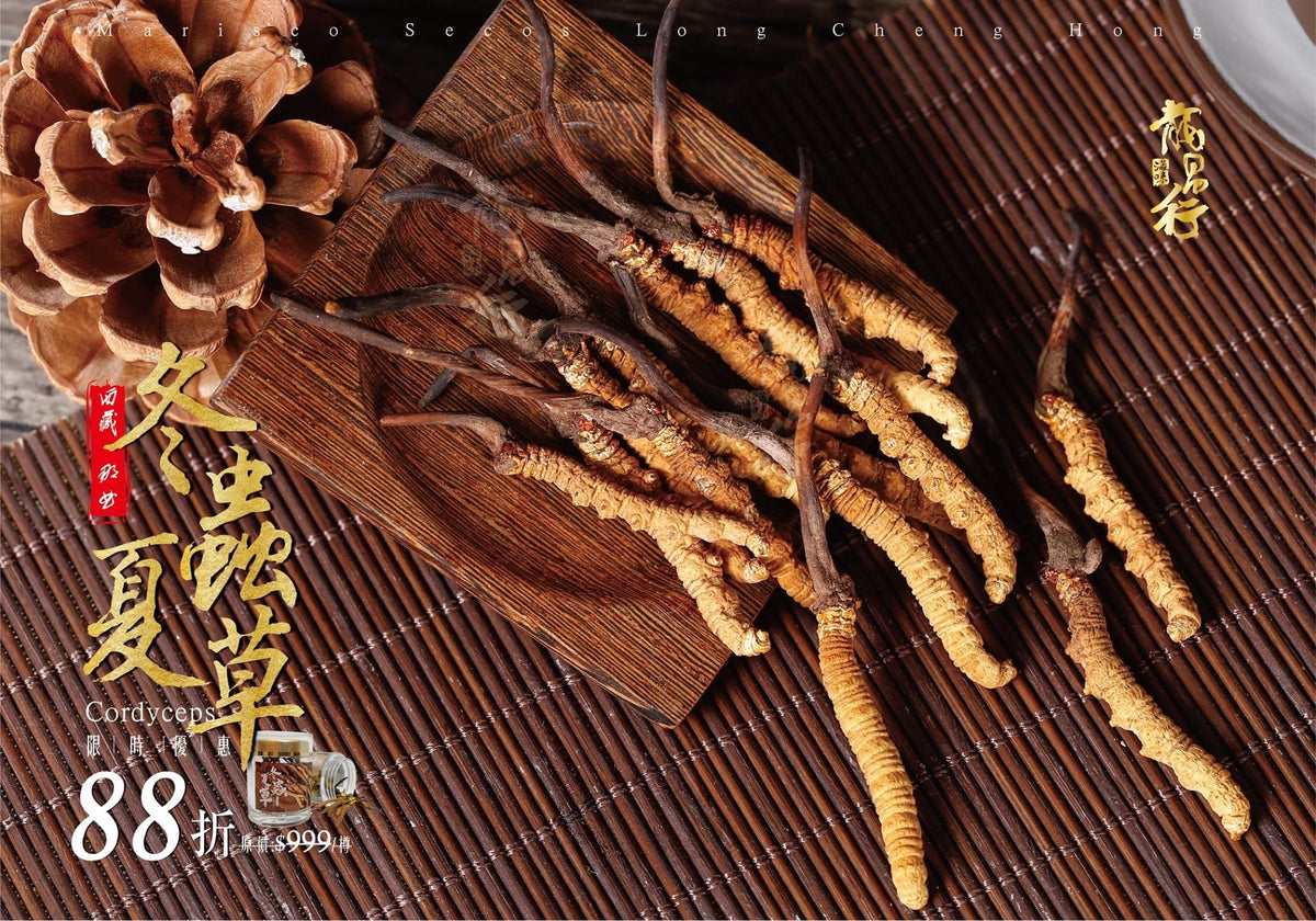 【????????????增強免疫力 – 限量BB冬蟲夏草88折????????】