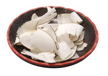 龍昌行 正宗非洲海底椰